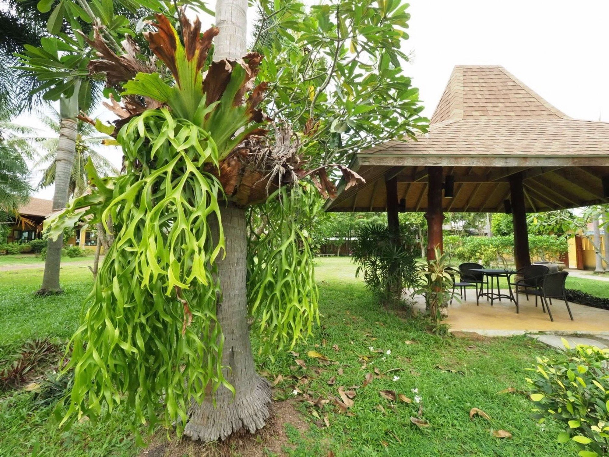 Keeree Waree Seaside Villa Bang Saphan Exterior foto